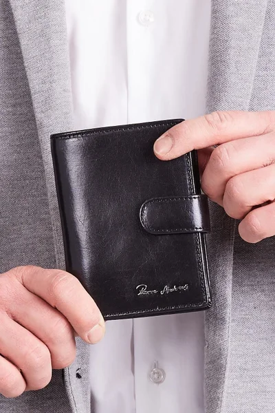 Elegantní pánská kožená peněženka FPrice