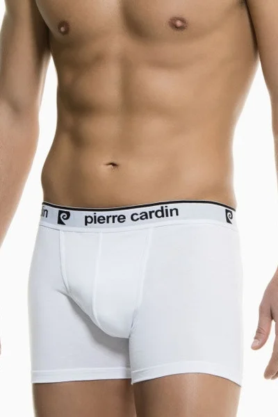 Pánské boxerky VF750 - Pierre Cardin