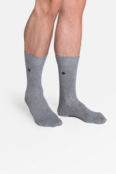 Dámské jednoduché 2 ponožky R556 Grey - Henderson