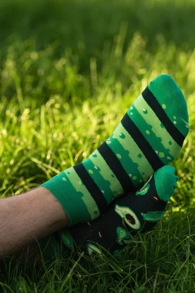 Dámské ponožky Avocado M400 Dark Green - Více More