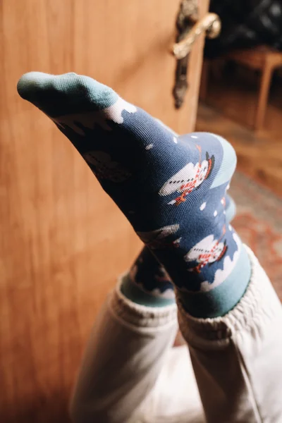 Dámské ponožky Sněhuláci C47 Melange Grey - Více More