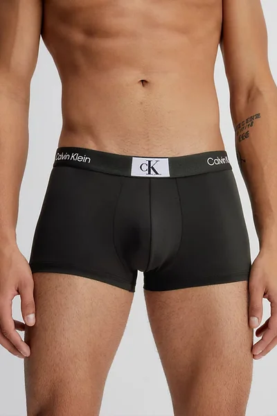 Pohodlné pánské boxerky s výrazným pasem Calvin Klein