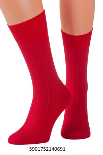 Pánské bezešvé ponožky Regina Socks Frota Estera