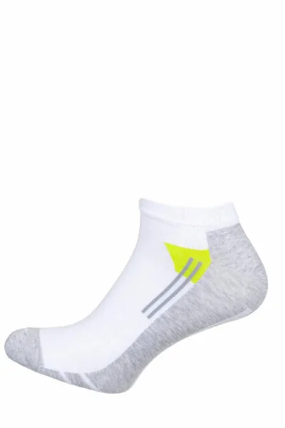 Pánské ponožky Milena 170
