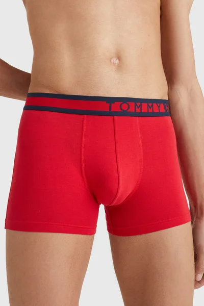 Pohodlné pánské boxerky 3ks Tommy Hilfiger