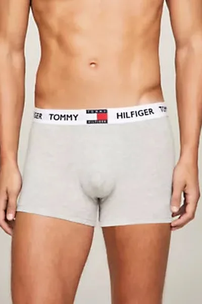 Pánské bavlněné boxerky Tommy Hilfiger