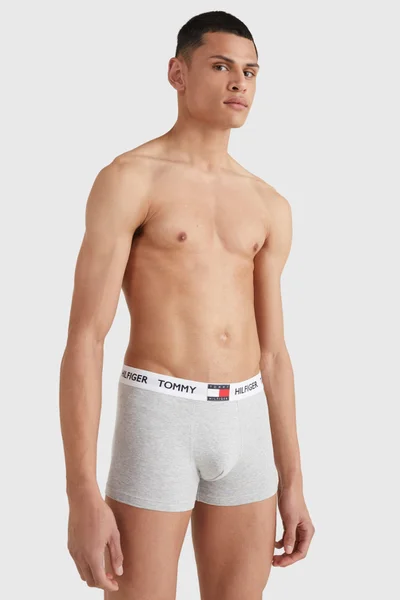 Pánské bavlněné boxerky Tommy Hilfiger