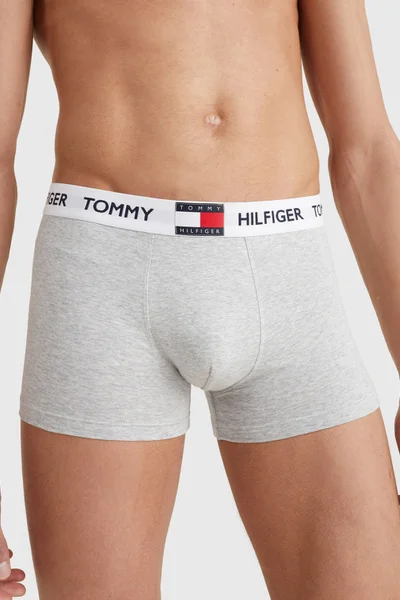 Pánské bavlněné boxerky Tommy Hilfiger