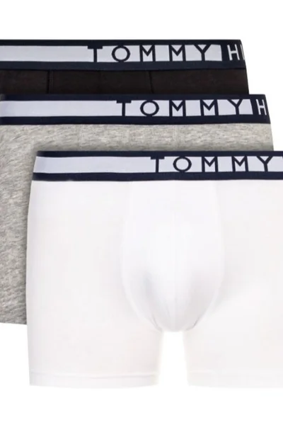 Tommy Hilfiger Pánské Boxerky 3 ks