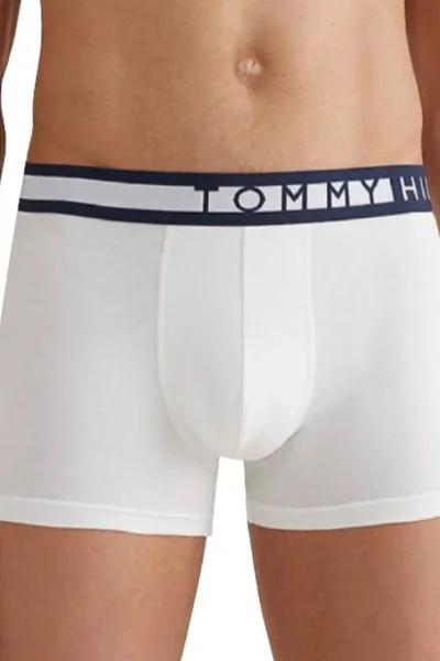 Tommy Hilfiger Pánské Boxerky 3 ks