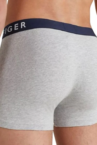 Tommy Hilfiger Pánské Boxerky 3 ks