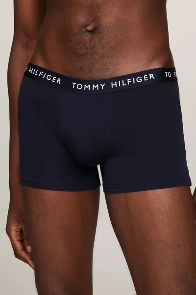 Přiléhavé bánské boxerky Tommy Hilfiger