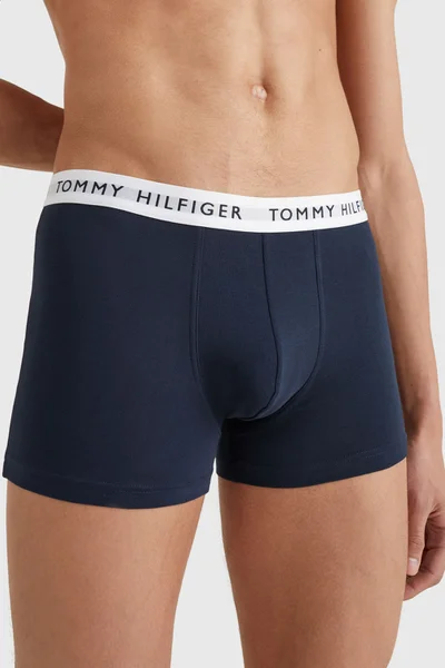Přiléhavé bánské boxerky Tommy Hilfiger