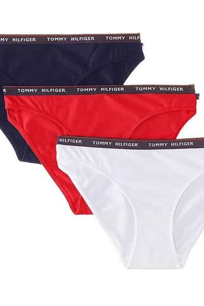 Modré-bílé-červené spodní kalhotky Tommy Hilfiger 0043 3-pack