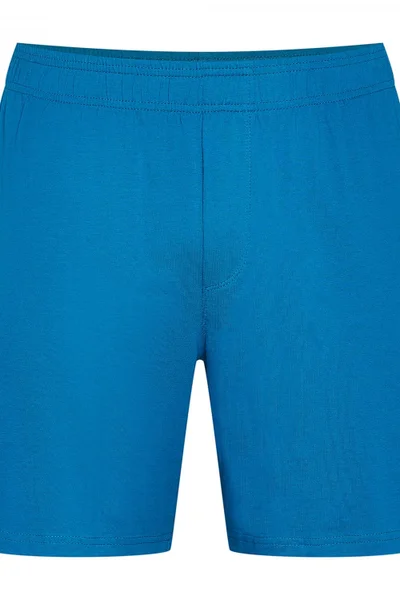 Pánské pyžamo SQ169 Lark blue - Henderson (barva tmavě modrá)