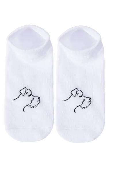 Dámské ponožky RZ390 BE SNAZZY (Bílá)