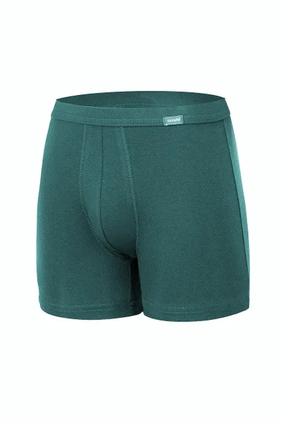 Pánské boxerky Cornette Authentic Perfect B962 3XL-5XL