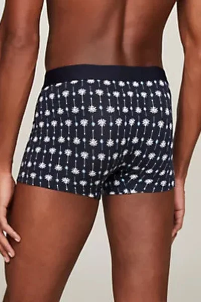 Pánské vzorované boxerky Tommy Hilfiger