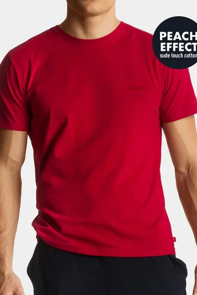 Pánské bavlněné tričko s krátkým rukávem Atlantic mix barev