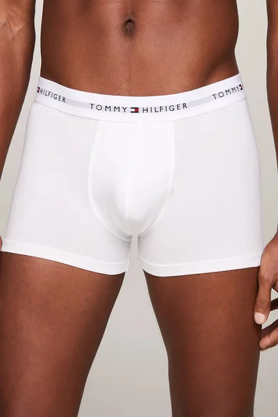 Přiléhavé pánské boxerky 3ks Tommy Hilfiger