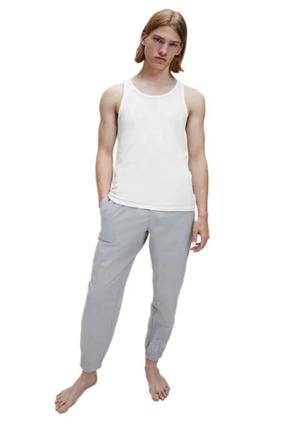 Pánské tričko Calvin Klein 2-Pack Regular Fit