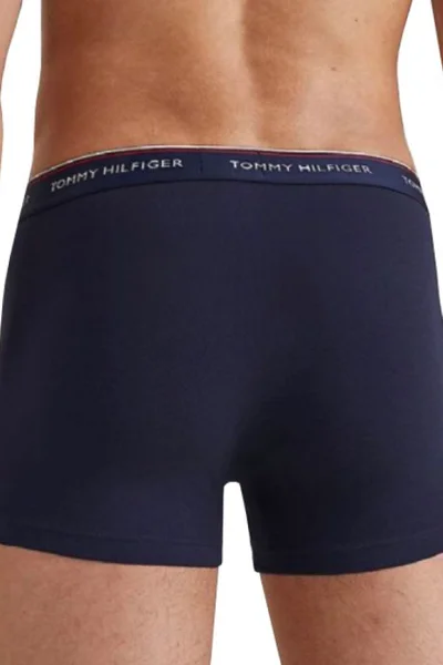 Pohodlné pánské boxerky 3 ks Tommy Hilfiger