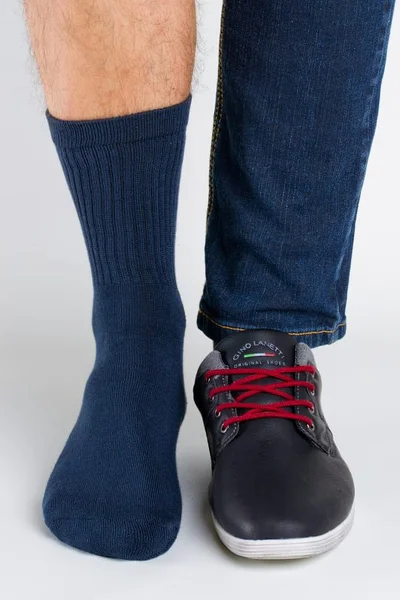 Pánské froté ponožky k obleku Regina Socks