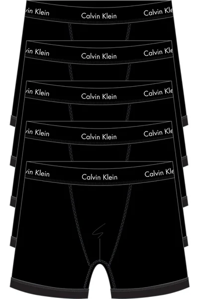 Pohodlné přiléhavé pánské boxerky Calvin Klein 5ks