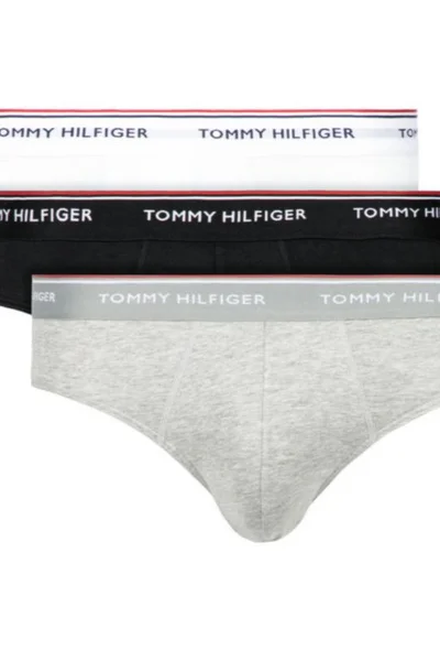 Stylové pánské slipy 3 ks Tommy Hilfiger