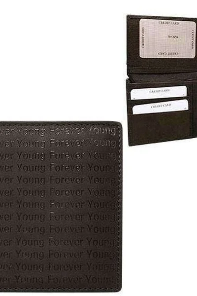 Kožená pánská peněženka v tmavě hnědé barvě FPrice