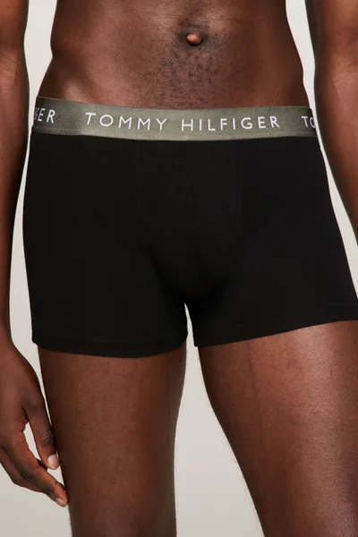 Módní pánské boxerky s ozdobnou gumou Tommy Hilfiger