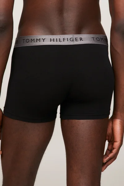 Módní pánské boxerky s ozdobnou gumou Tommy Hilfiger