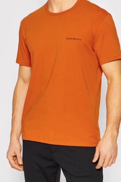 Pánské tričko - W605 HS517 KY730 - oranžovátmmodrá - Emporio Armani