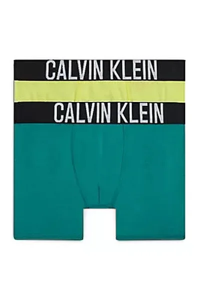Barevné dětské boxerky 2ks Calvin Klein