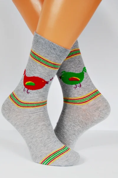 Pánské barevné ponožky Regina Socks 7844 Avangarda Slepice