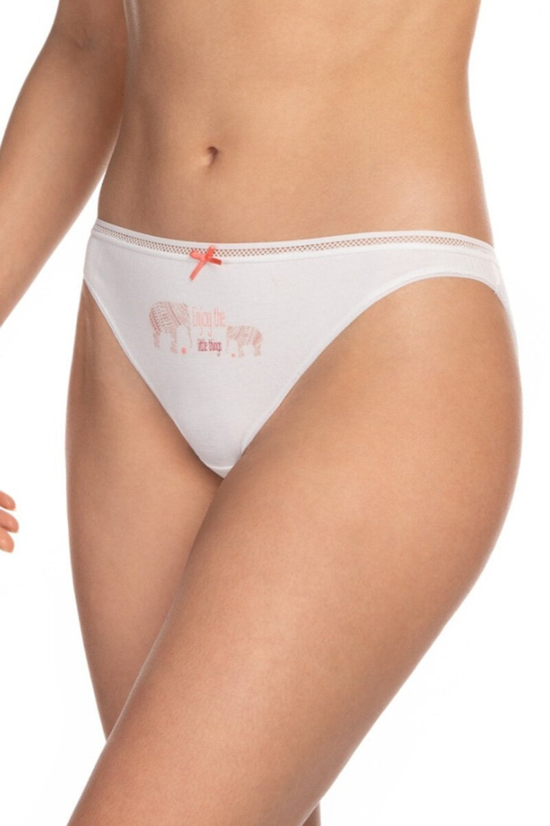 Dámské kalhotky MINI BIKINI C676 3-pack Lama (barva směs barev), směs barev XL i170_L-108MB-02_XL