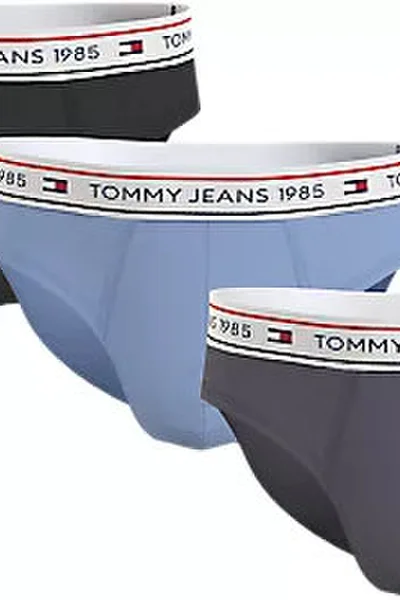 Bavlněné pánské slipy 3ks Tommy Hilfiger