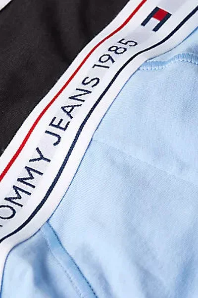 Bavlněné pánské slipy 3ks Tommy Hilfiger