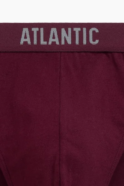 Bavlněné sportovní pánské slipy 5ks Atlantic