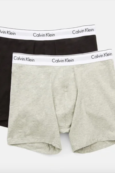 Pánské boxerky 2pcs IF166 - BHY vícebarevná - Calvin Klein vícebarevné