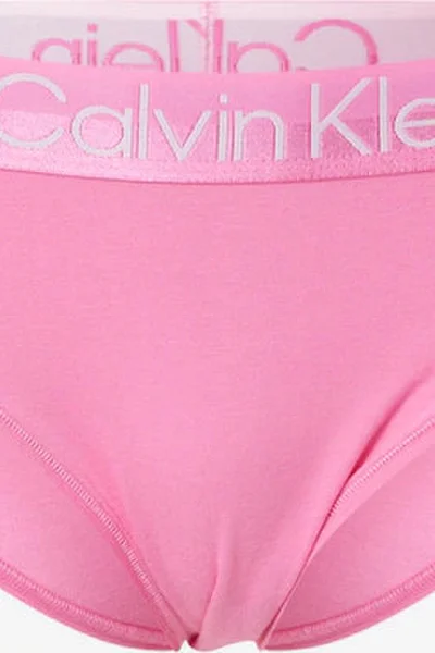 Dámské kalhotky QE528 - TO3 - Hollywood - Calvin Klein