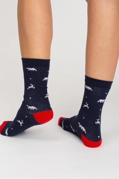 Dámské 3 páry vánočních ponožek FPrice