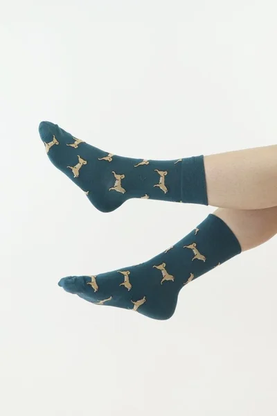 Vysoké unisex ponožky s motivem psů Moraj