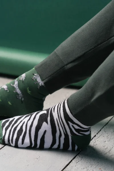 Dámské ponožky Zebra BL769 - Více More