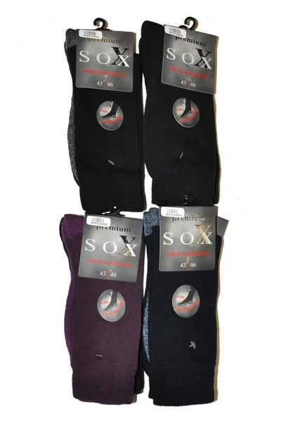 Pánské ponožky WiK RD605 Premium Sox Frotte