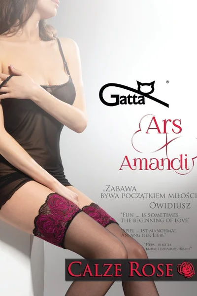 Dámské punčochy Gatta Ars Amandi Calze Rose NF319 1-6 (barva nero)