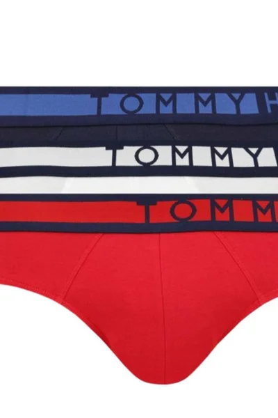 Stylové pánské slipy 3 ks Tommy Hilfiger