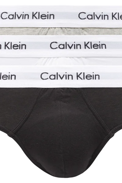 Komfortní pánské slipy z měkké bavlny Calvin Klein