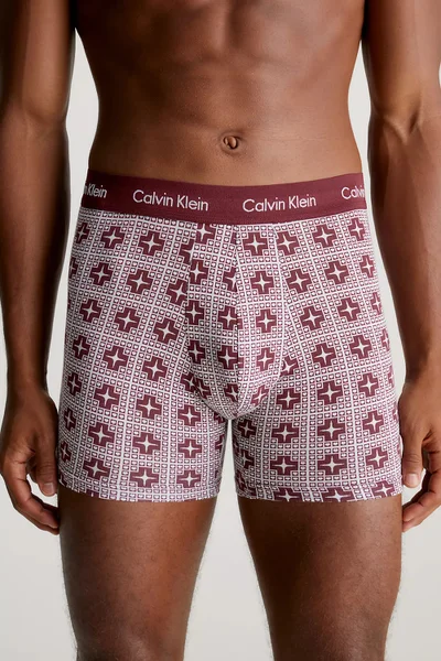 Vzorované pánské boxerky 3ks Calvin Klein