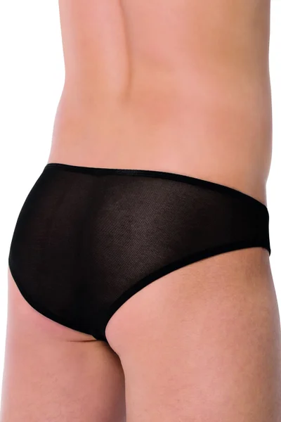 Pánská sexy tanga SoftLine 4466